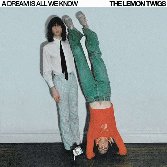 LEMON TWIGS, THE - DREAM IS ALL WE KNOW [Cassette]