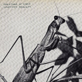 BARNETT, COURTNEY - CREATURE OF HABBIT [Indie Exclusive Caramel Vinyl] LP