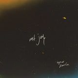 MT. JOY - HOPE WE HAVE FUN [Clear Vinyl] LP