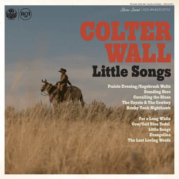 WALL, COLTER <BR><I> LITTLE SONGS [Indie Exclusive Baby Blue Vinyl] LP</I>