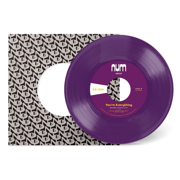 DIXON, MICHAEL A. & J.O.Y. <BR><I> YOU'RE EVERYTHING B/W YOU'RE ALL I NEED [Purple Vinyl] 7