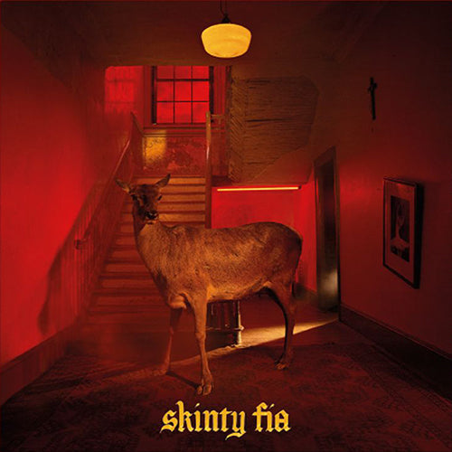 FONTAINES D.C. - SKINTY FIA: DELXUXE [Limited Edition 45 RPM] 2LP
