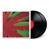 JEJUNE - THIS AFTERNOON MALADY 2LP