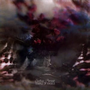 TEMPLE OF ANGELS <BR><I> ENDLESS PURSUIT [Cloudy Clear Vinyl] LP</I>