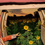 MORBY, KEVIN - LITTLE WIDE OPEN CD