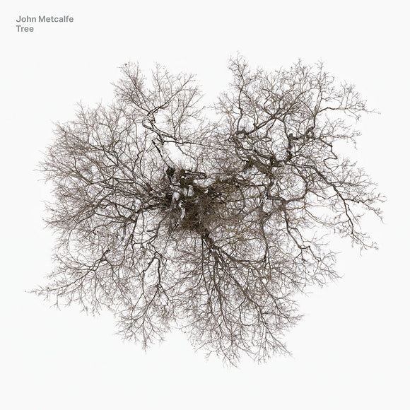 METCALFE, JOHN - TREE LP