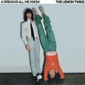 LEMON TWIGS, THE - DREAM IS ALL WE KNOW [Ice Cream White Vinyl] LP
