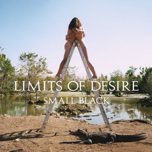 SMALL BLACK - LIMITS OF DESIRE (10th Anniversary Edition)[Coke-Bottle Clear Vinyl] 2LP