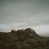 WHITE, BELLA - A Sign In The Weather LP