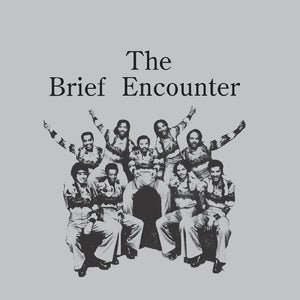 BRIEF ENCOUNTER, THE <BR><I> INTRODUCING THE BRIEF ENCOUNTER [Smokey Mountain Color Vinyl] LP</I>