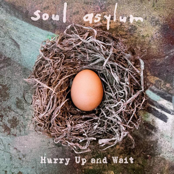 SOUL ASYLUM <BR><I> HURRY UP AND WAIT: DELUXE (RSD) 2LP + 7