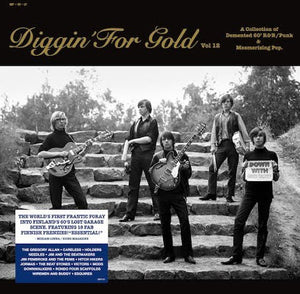 VARIOUS ARTISTS <BR><I> DIGGIN' FOR GOLD VOL. 12 LP</I><br><br><br>