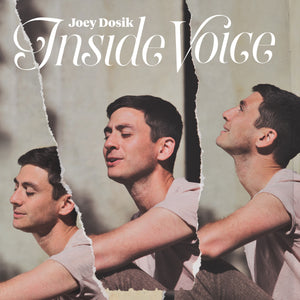 DOSIK, JOEY <BR><I> INSIDE VOICE [Stone White Vinyl] LP</I>