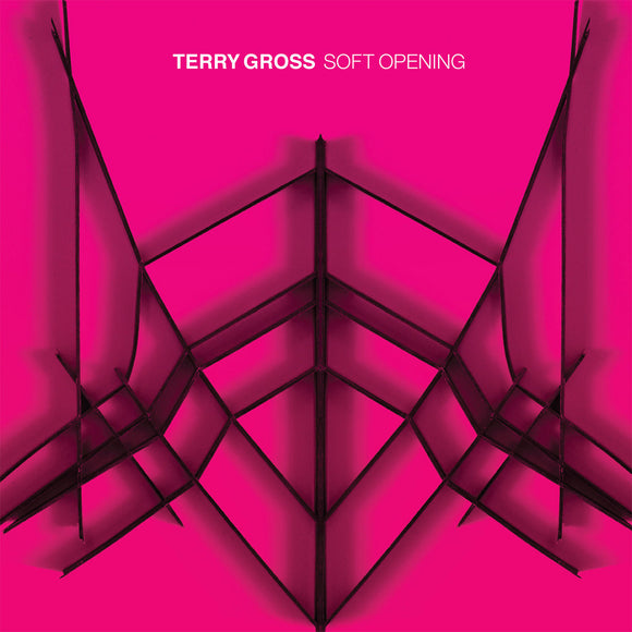 TERRY GROSS <BR><I> SOFT OPENING [Translucent Blue Vinyl] LP</I><br><br>