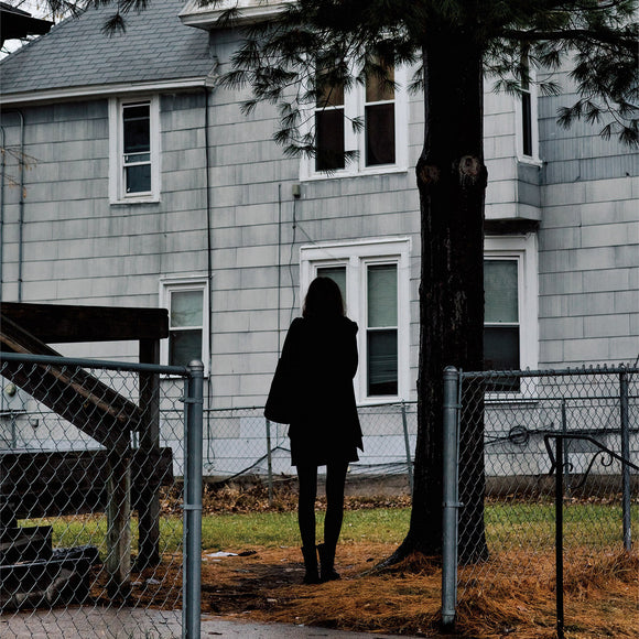 THE TALLEST MAN ON EARTH <BR><I> DARK BIRD IS HOME LP</I>