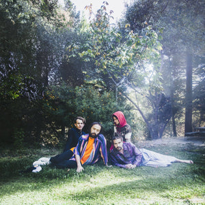 BIG THIEF <br><I> U.F.O.F. LP</I>