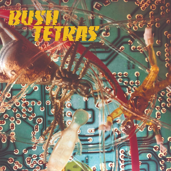BUSH TETRAS <BR><I> THERE IS A HUM / SEVEN YEARS 7