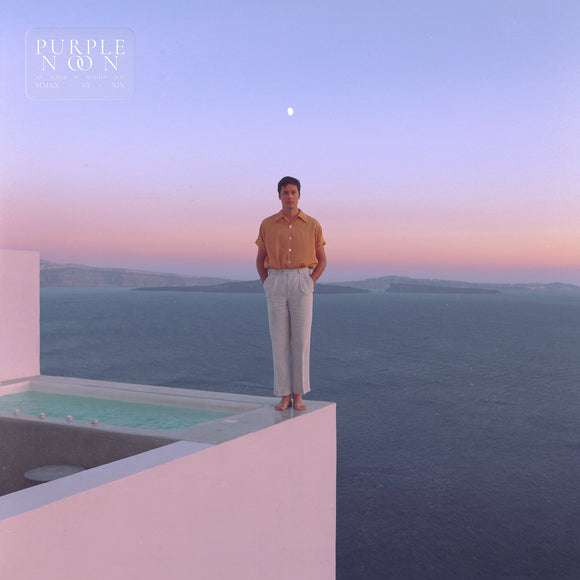 WASHED OUT <BR><I> PURPLE NOON LP</I>